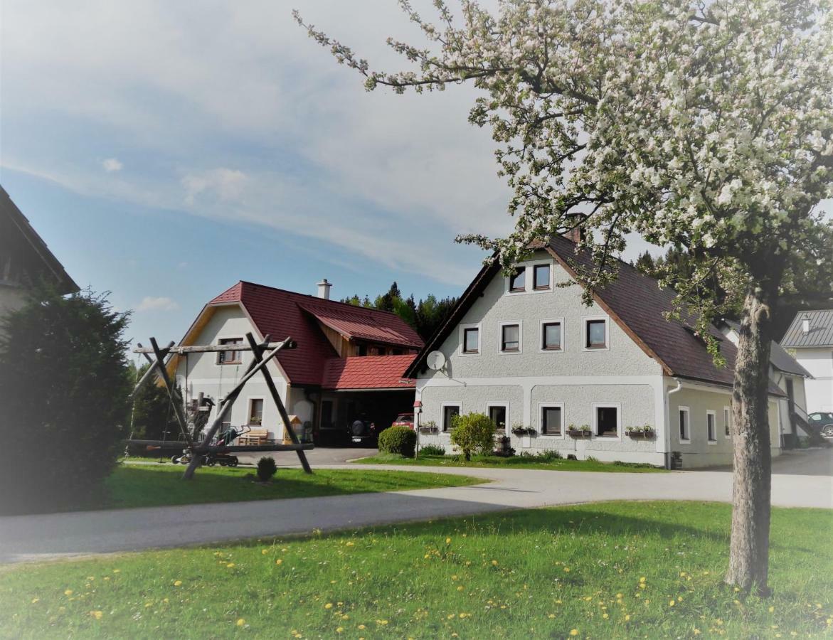 Biobauernhof Obereck Apartment Goestling an der Ybbs Exterior photo